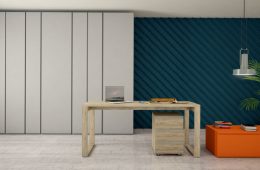 armario oficina con escitorio de madera vista